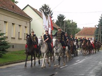 Hsgtra a Hsg Falvaiban kpekben